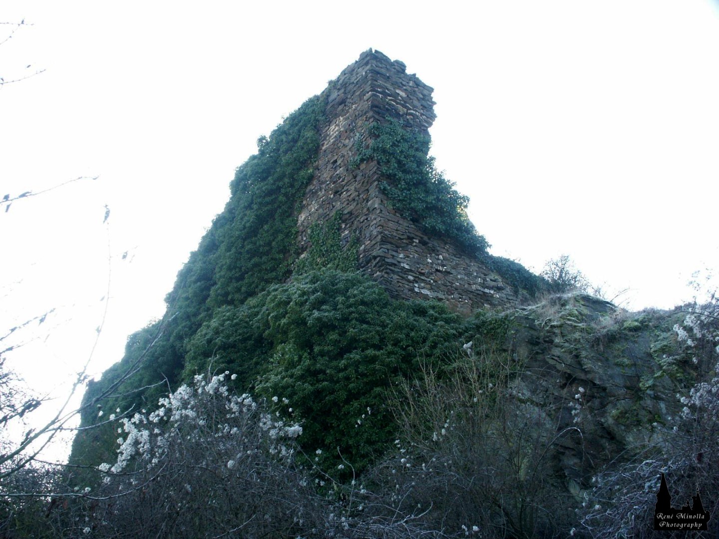 PICT0007b